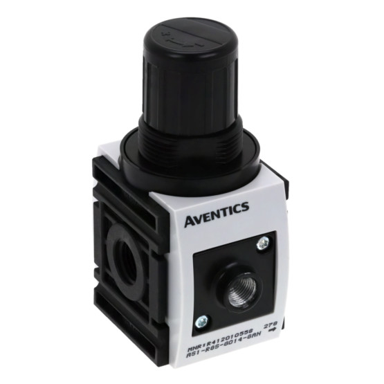 Aventics AS1-RGS-G014-GAN-040-DS Combination Unit