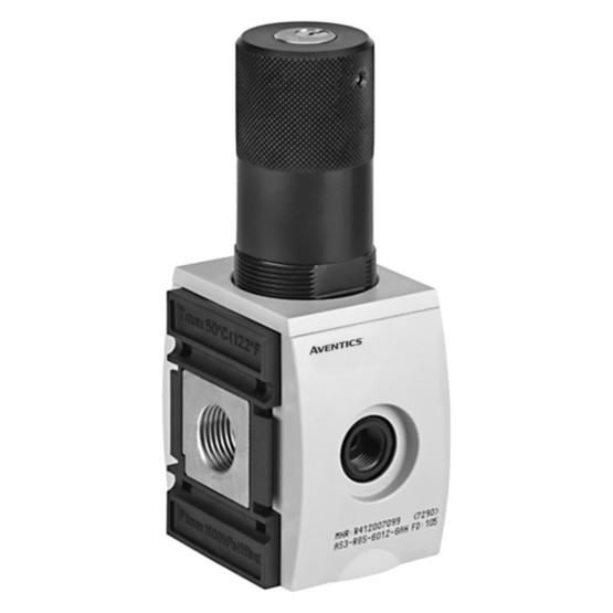 Aventics AS5-RGS-G100-GAN-100-E11 Combination Unit