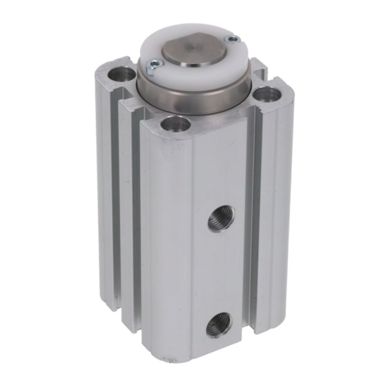 Aventics CCI-DA-032-25-ST-NR Pneumatic Linear Actuator