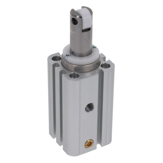 Aventics CCI-SA-032-20-ST-RO-INCH Pneumatic Linear Actuator