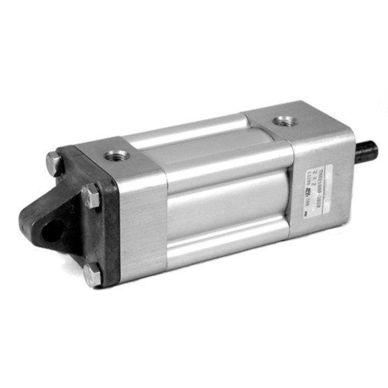 Aventics TM-1.5-DET EYE MNT Pneumatic Linear Actuator