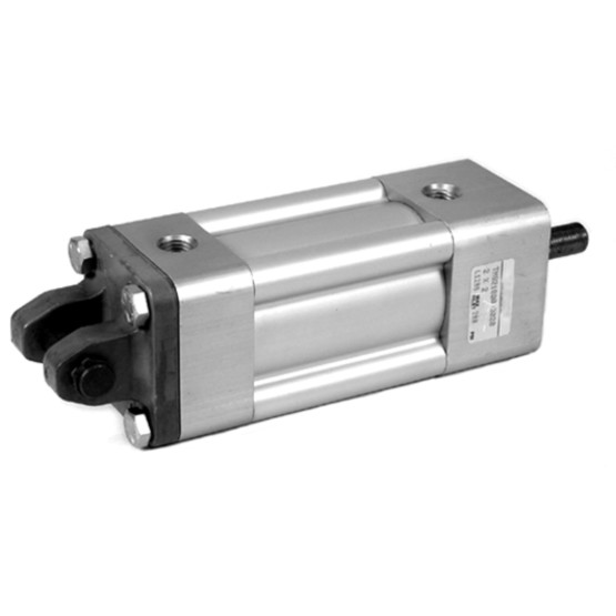 Aventics TM-2-DET EYE MNT Pneumatic Linear Actuator