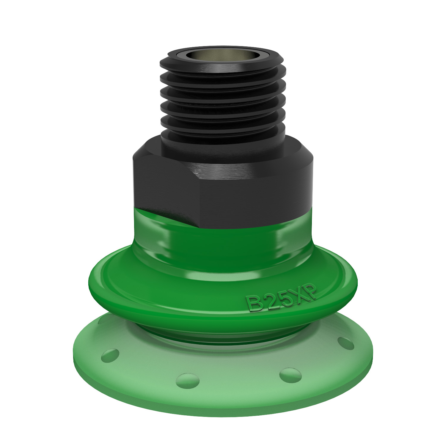 Piab Suction cup B25XP Polyurethane 60, 1/8 NPT male with mesh filter