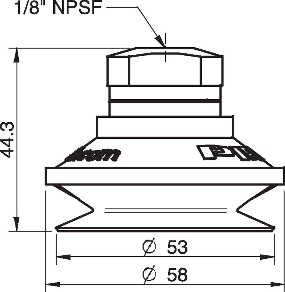 Piab Suction cup B50 Silicone FCM, 1/8 NPSF female, with mesh filter