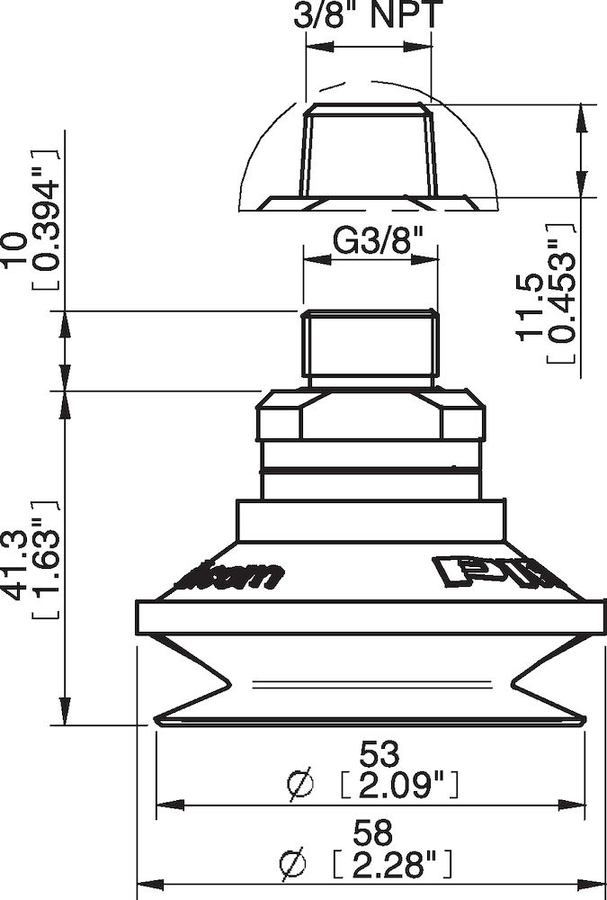 Piab Suction cup B50 Nitrile-PVC, 3/8 NPT male, with mesh filter